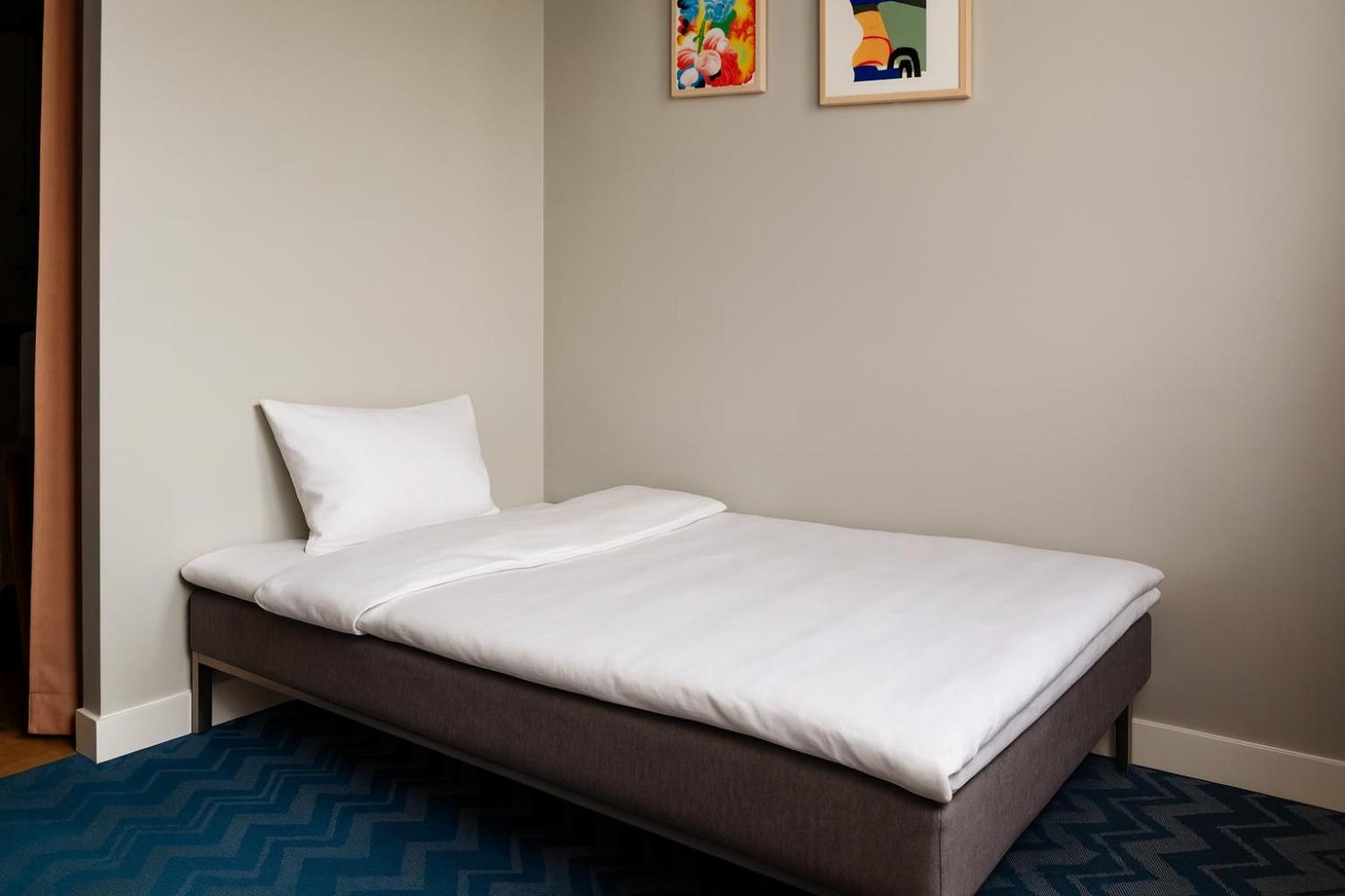 Large Room Sofa Bed